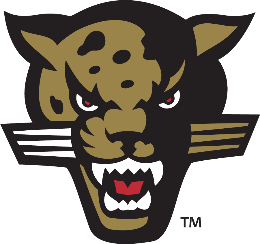 IUPUI Jaguars 1998-2007 Secondary Logo diy iron on heat transfer
